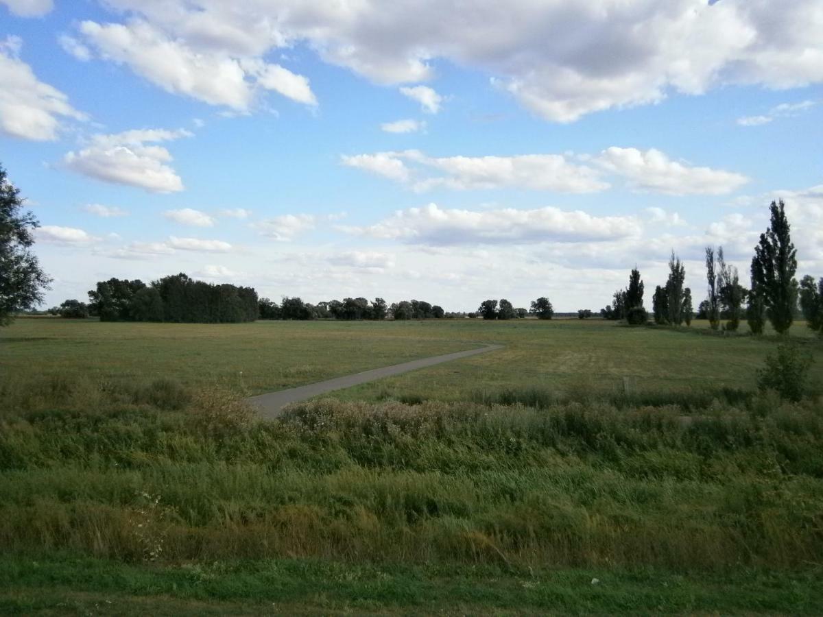Alles Paletti Mit Klimaanlage Apartment Wittenberg Екстериор снимка
